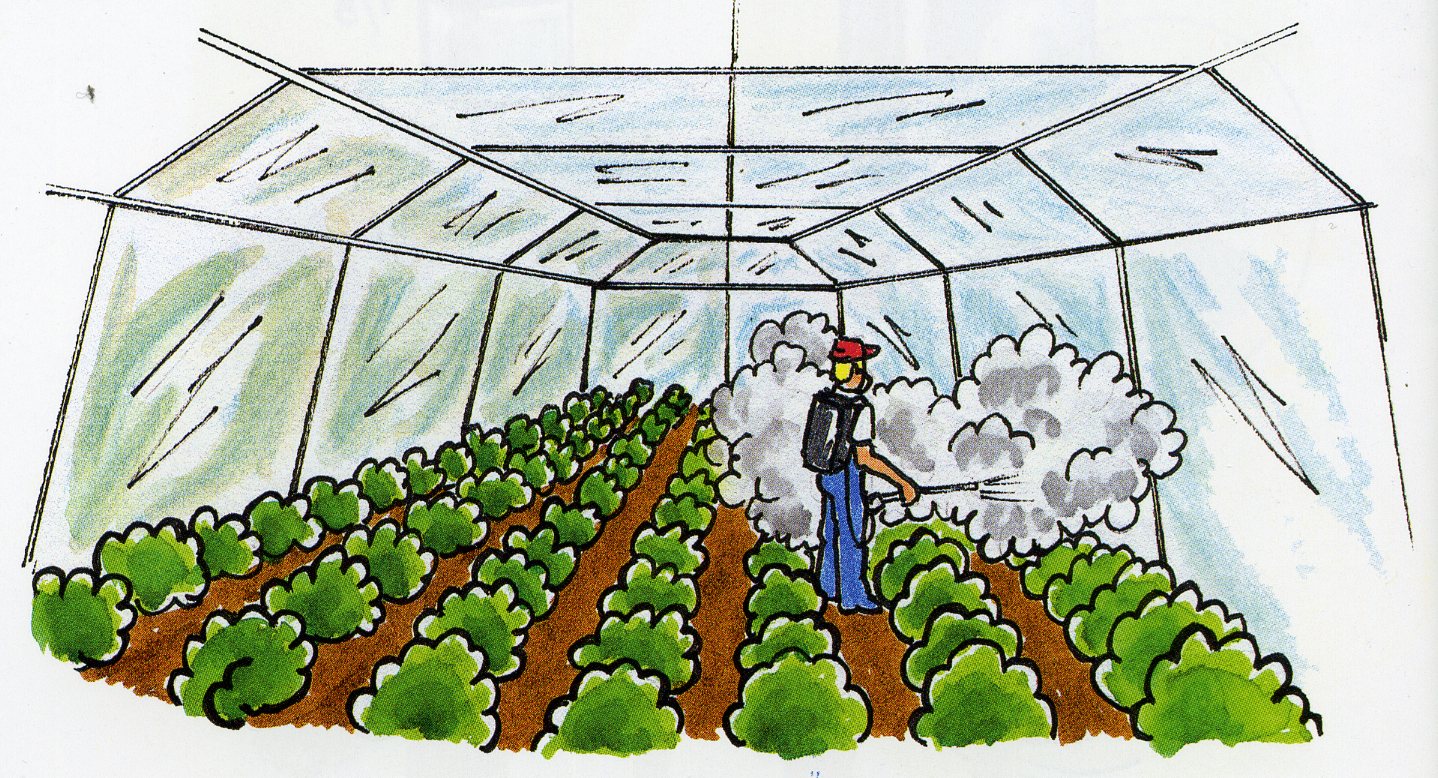  CAMPO FREMAP (69)  IMAGENES DIBUJOS JPG